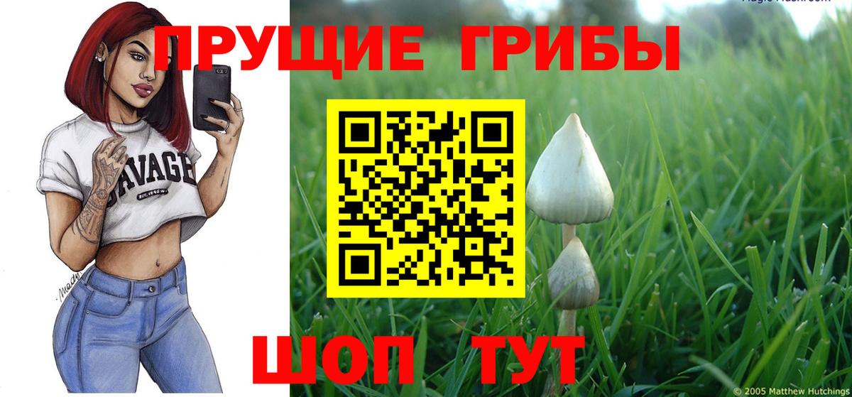 Галлюциногенные грибы GOLDEN TEACHER  Галлюциногенные грибы Cubensis  Камышин  Вход с VPN 