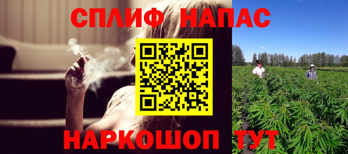 Шишки марихуана семена Камышин